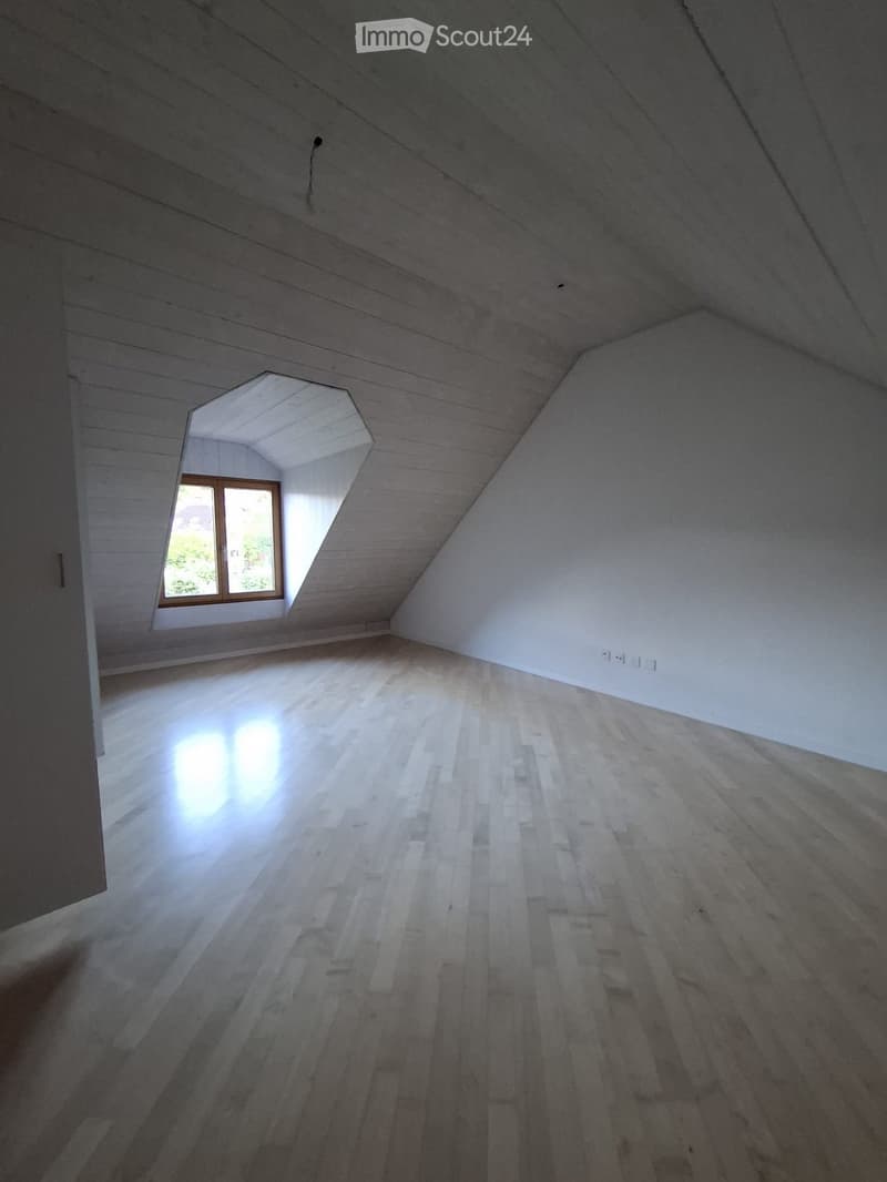 Empty attic space with wooden flooring, white walls, and a skylight window letting in natural light.