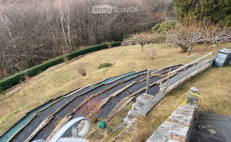 Garden area with a covered walkway, grassy lawn, bare trees, and a small shed.