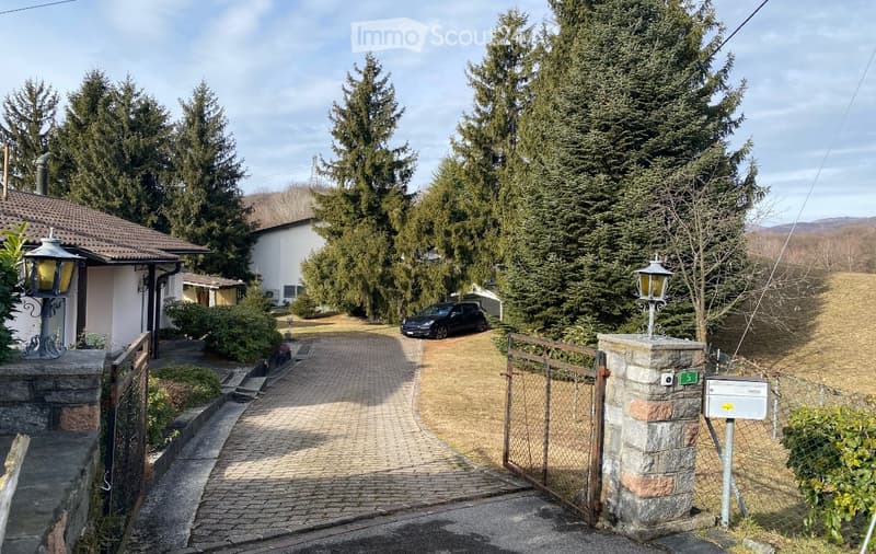A driveway leads to a house with a parked car, surrounded by tall evergreen trees and a stone gate.