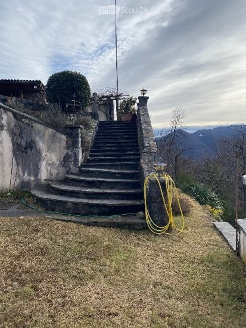 Outdoor area with stone steps leading up to a house, surrounded by grass and trees, with a yellow hose coiled nearby.