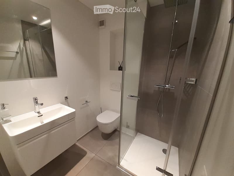 Modern bathroom with a white sink, chrome faucet, large mirror, toilet, and a glass-enclosed shower with a handheld showerhead.