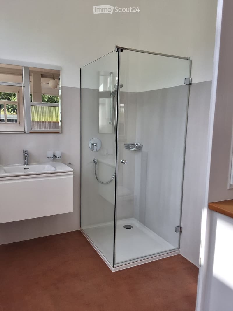 Modern bathroom with a glass-enclosed shower, a white sink with a mirror, and a wooden shelf visible on the right side.