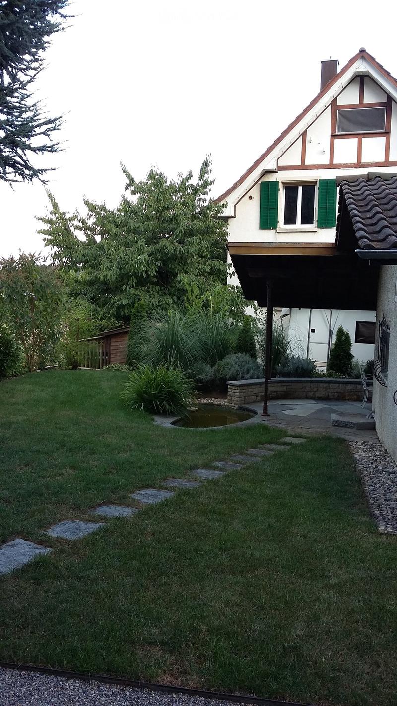 Green lawn, garden with plants and small pond, stone walkway