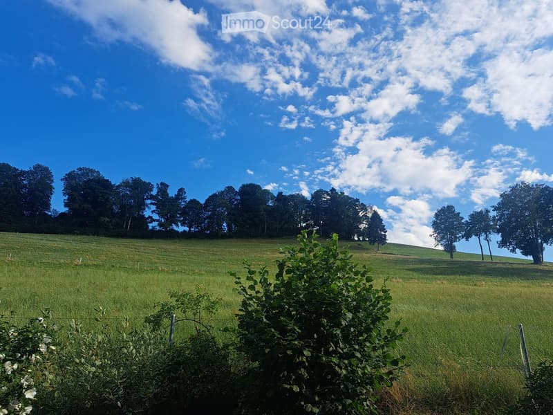 Open grassy field with scattered trees under a partly cloudy blue sky.