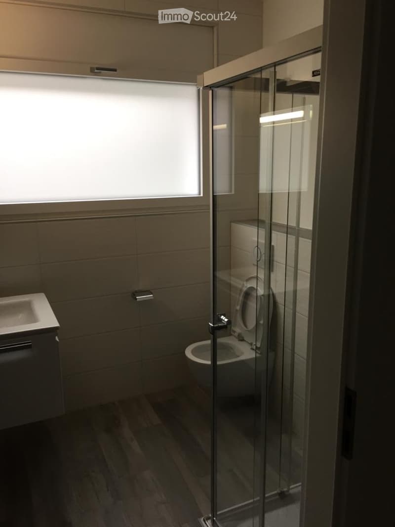 Modern bathroom with a glass-enclosed shower, toilet, and sink. The space features tiled walls and a wooden floor.