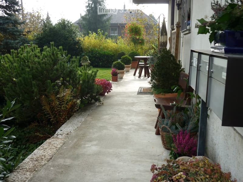 concrete pathway, various potted plants, wooden table and stool, wooden bench, mailbox, greenery
