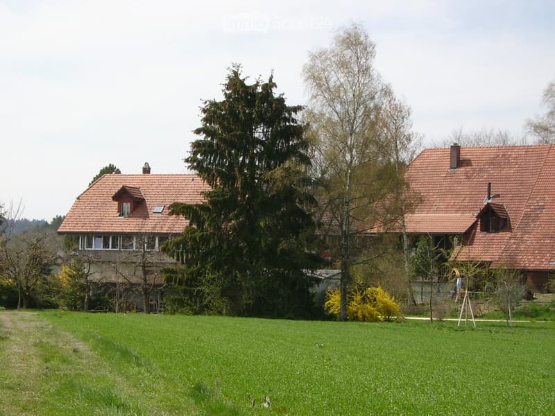 2 story house, red roof, white windows, chimney, garden, trees