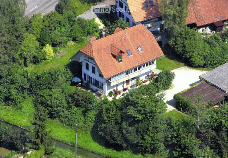 Aerial view of a house with a red roof, surrounded by trees and plants, with a driveway leading to it.