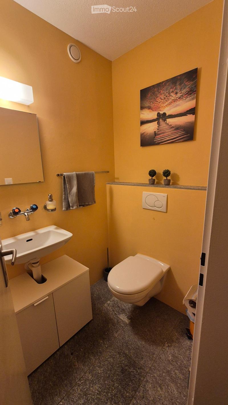 Bright yellow bathroom with a modern sink, toilet, mirror, and small potted plants on a shelf. The room features a sleek design with a picture frame on the wall and a towel hanging on a rack.
