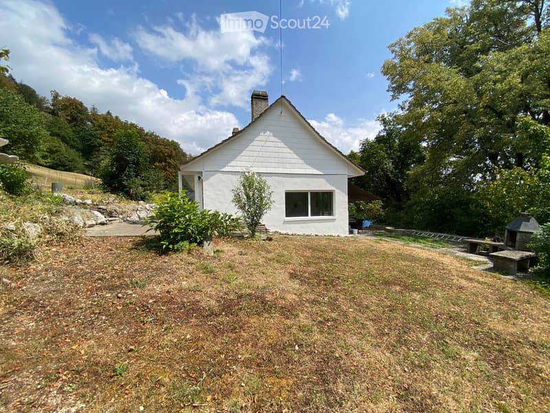 A single-story white house with a triangular roof and chimney, surrounded by a grassy yard and trees.