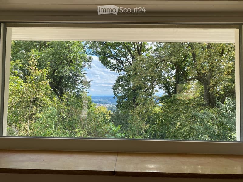 Window with blinds showing a view of lush green trees and a distant landscape.