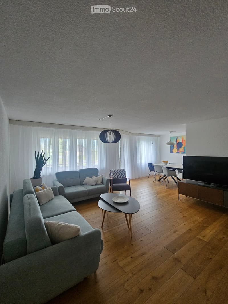 Living room with a grey sectional sofa, coffee table, armchair, dining area with table and chairs, TV, and a plant in the corner.