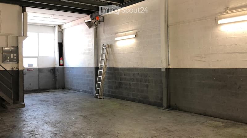 Empty industrial-style room with concrete floor, exposed brick walls, fluorescent lighting, and a metal ladder leaning against the wall.