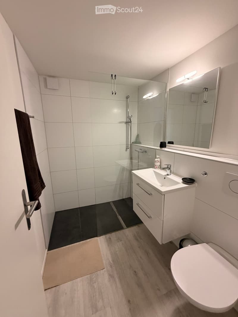 Modern bathroom with white tiles, a glass-enclosed shower, a white sink with a mirror, and a toilet. The floor has a mix of dark tiles and light wood planks.