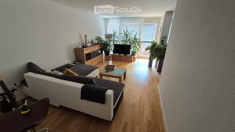 Modern living room with a grey sectional sofa, coffee table, guitar, chair, TV, and plants near the window.