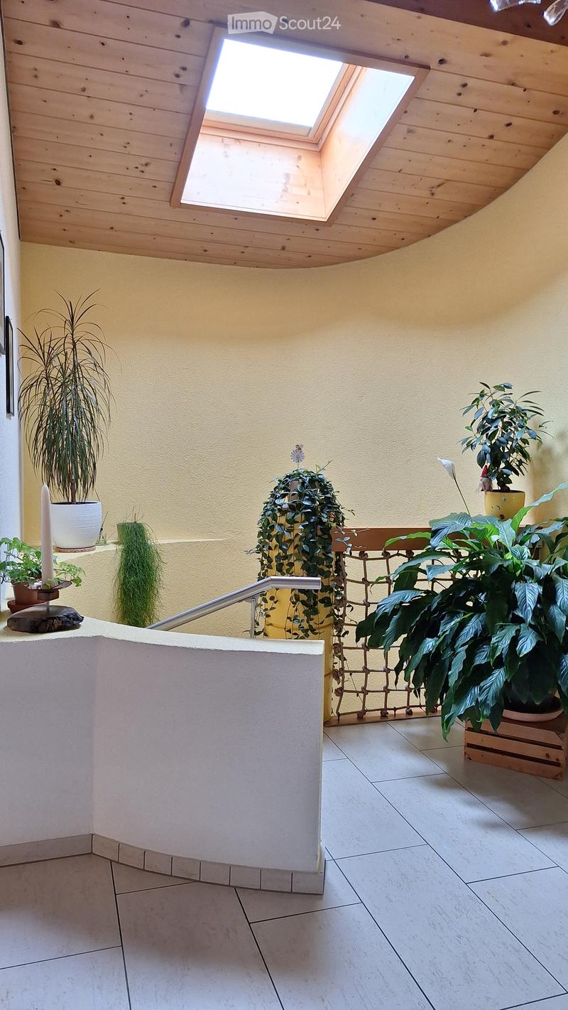 Brightly lit indoor garden area with a skylight, tiled floor, and several potted plants arranged on shelves and the floor.
