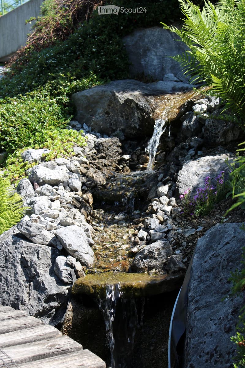 A small, natural-looking water fountain or stream with rocks, ferns, and small plants surrounding it.