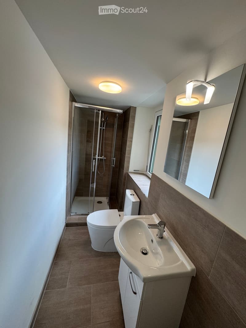 Modern bathroom with a sink, bathtub, toilet, and glass-enclosed shower. Features a large mirror, modern lighting, and tiled walls and floor.