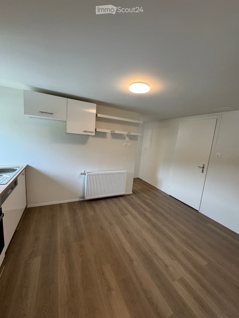 Empty room with wooden flooring, white walls, built-in cabinets, shelves, a radiator, and a sink.