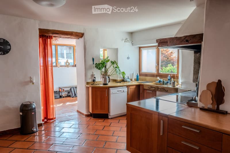 Bright kitchen with wooden cabinets, a dishwasher, sink, countertop, and various kitchen items. Features a potted plant on the counter and a trash bin near the entrance.