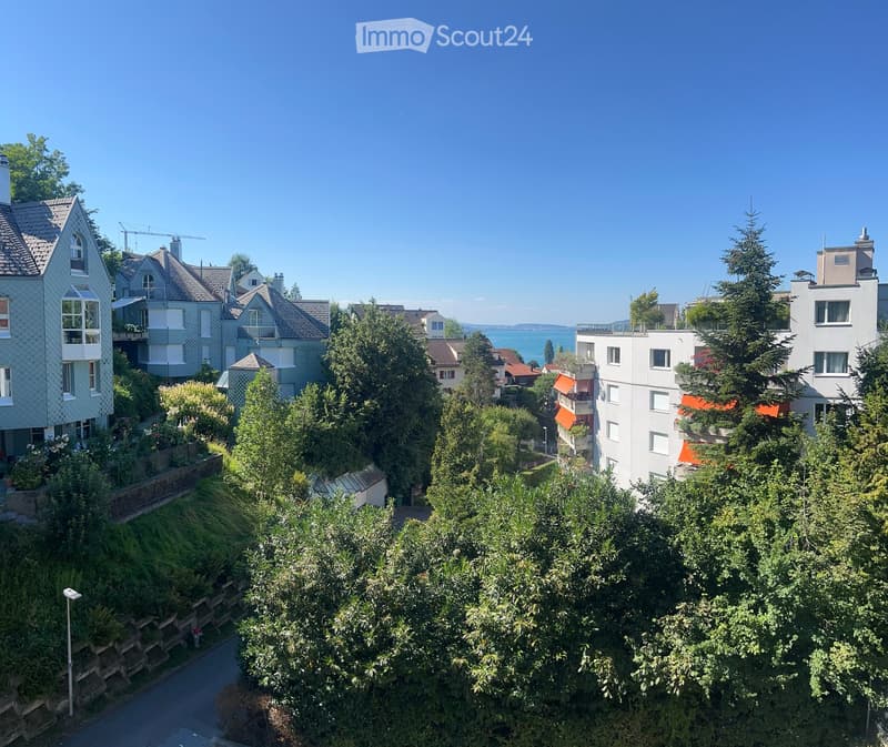 Bright, completely renovated attic apartment in a quiet and central location in Horgen (2)