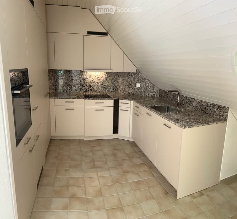 Bright, completely renovated attic apartment in a quiet and central location in Horgen (4)