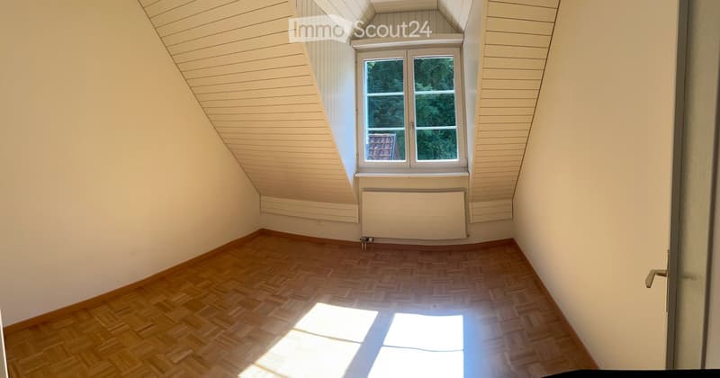 Bright, completely renovated attic apartment in a quiet and central location in Horgen (8)
