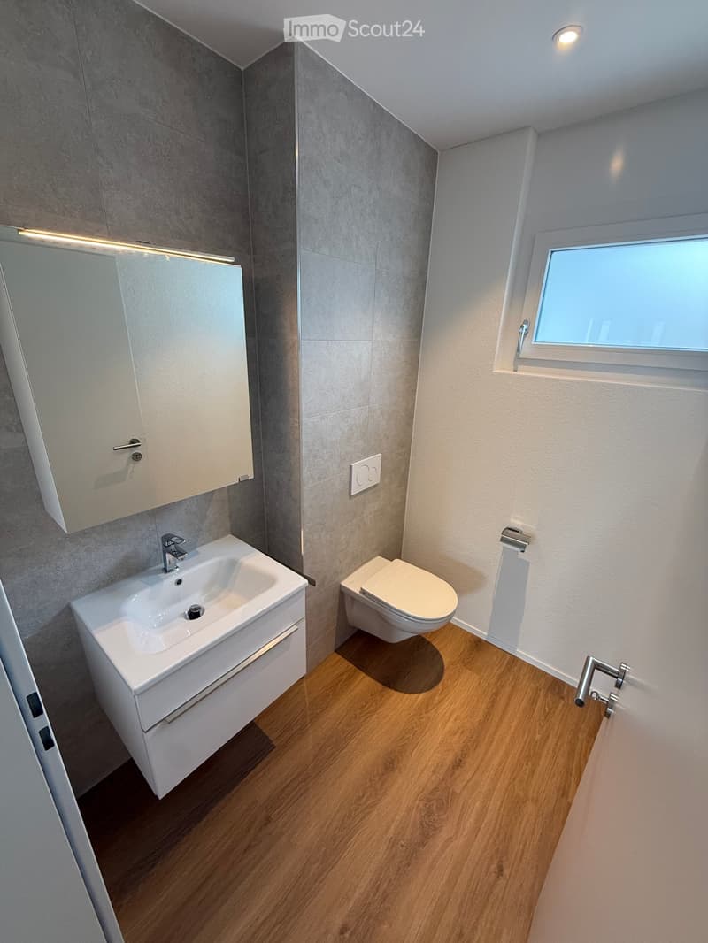 Modern bathroom with a white sink, toilet, mirror, and wooden flooring.