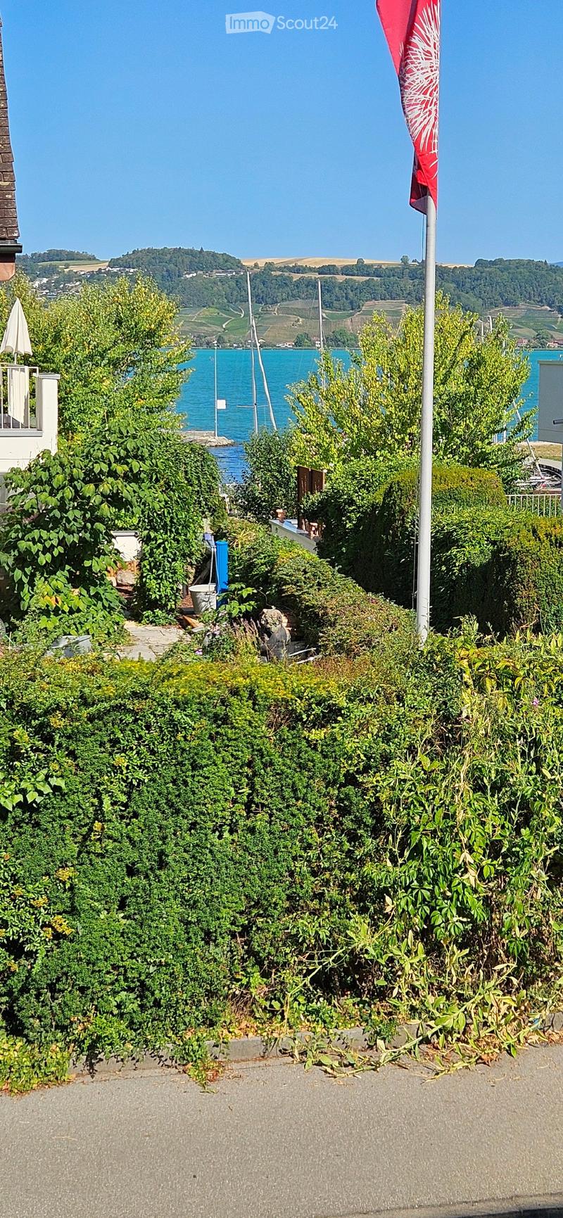 Lush garden with dense green bushes and trees, overlooking a scenic body of water and distant hills.