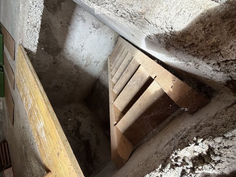 View of a doorway leading to a raised ground floor area, with wooden steps and exposed concrete walls.