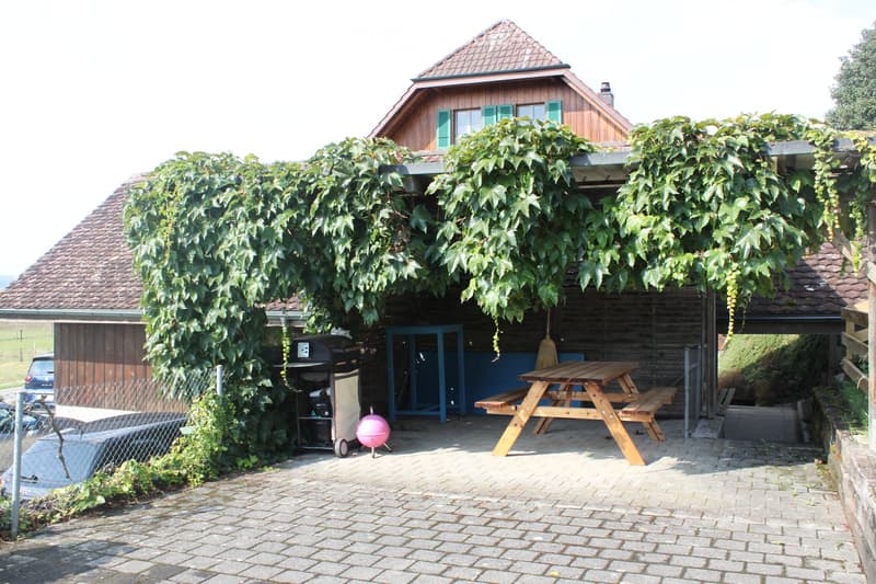 A covered outdoor area with a wooden picnic table, a grill, and a pink ball, surrounded by climbing plants and a wooden house.