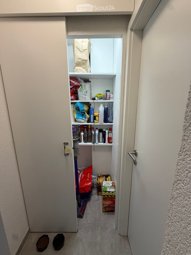 A narrow hallway with a pantry on one side, containing shelves with various household items, cleaning supplies, and food products. The floor is tiled, and there are two pet food bowls on the floor near the entrance.