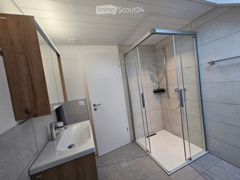 A bathroom with a white sink, a walk-in shower, and a mirror above the sink.