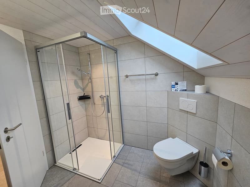 a small bathroom with a shower, toilet, and a skylight window
