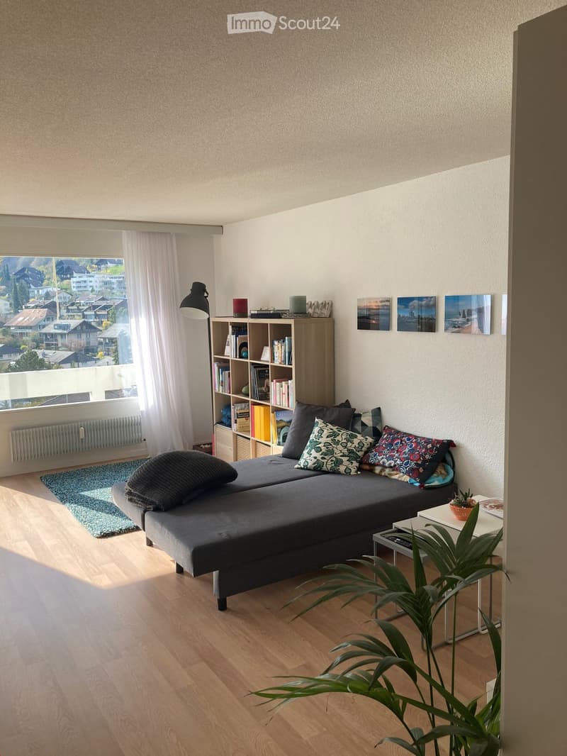 Modern living room with a grey sofa, colorful cushions, bookshelf, small table, and potted plant. Large window offers a scenic view of houses and trees.