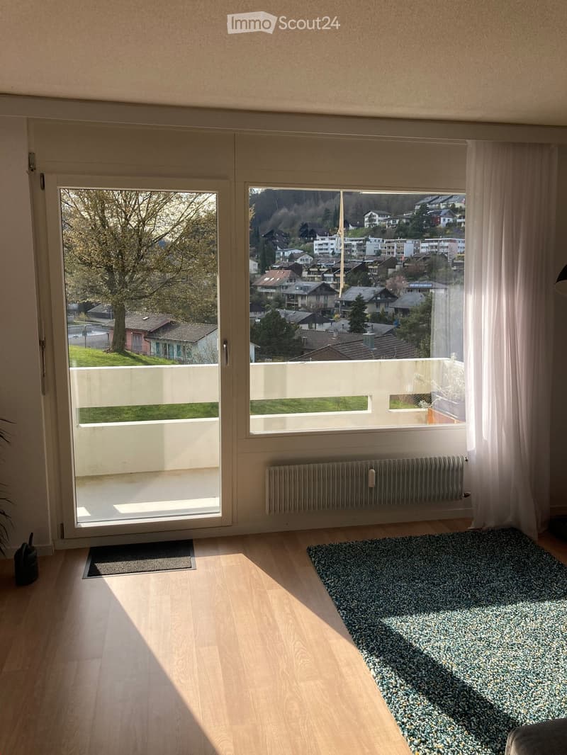 Bright room with wooden flooring, large windows offering a scenic view of a town and greenery, a patterned rug, and a radiator below the windows.