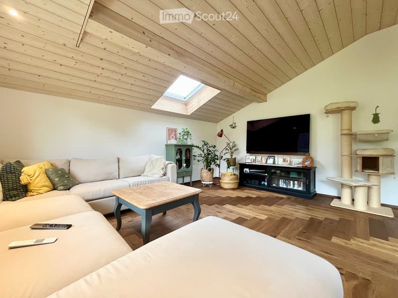 Modern living room with wooden flooring, slanted wooden ceiling, skylight, sofa, coffee table, cat tree, TV, and decorative plants.