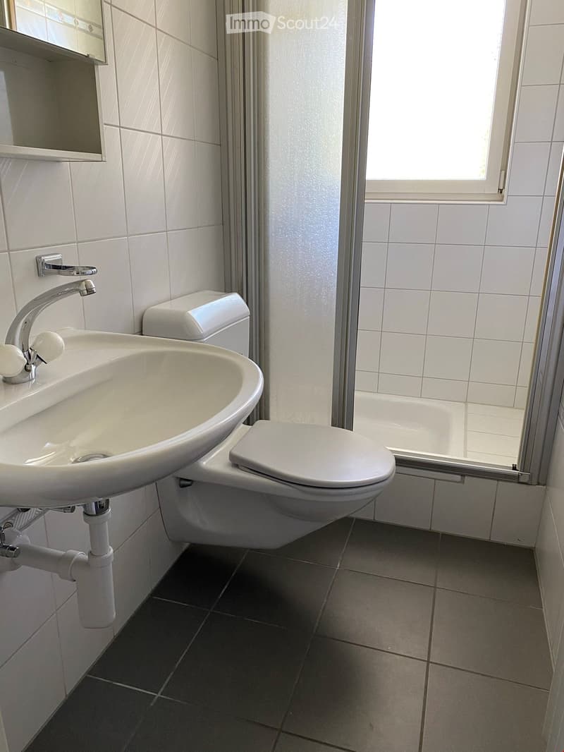 Modern bathroom with white tiles, a sink with a chrome faucet, a toilet, and a shower area with a glass door.