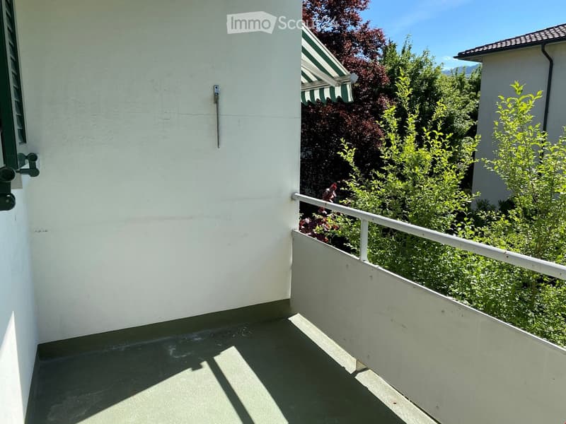 Balcony with white railing, green plants, and striped awning on adjacent building.