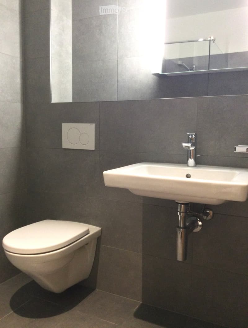 Modern bathroom with a white toilet, a white sink with a chrome faucet, and a large mirror above the sink. The walls are covered in dark grey tiles.