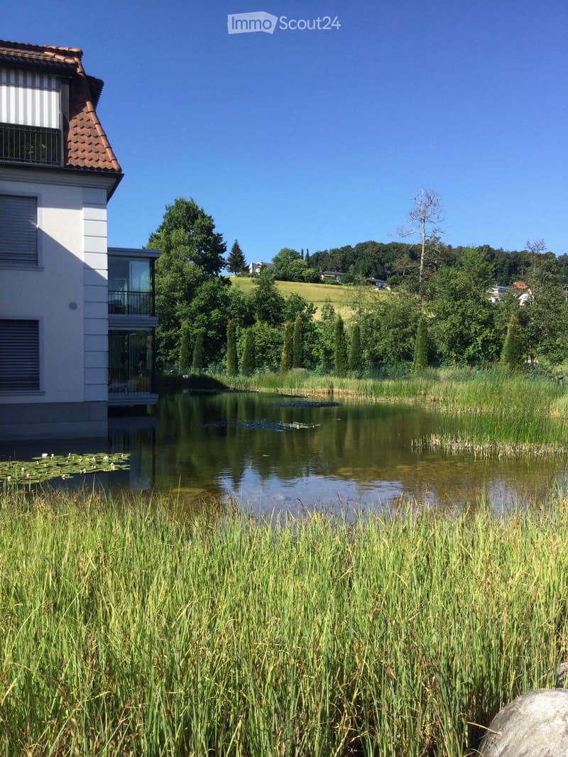 A serene garden area with a pond, surrounded by tall grasses and trees, with a modern house visible on the left side.