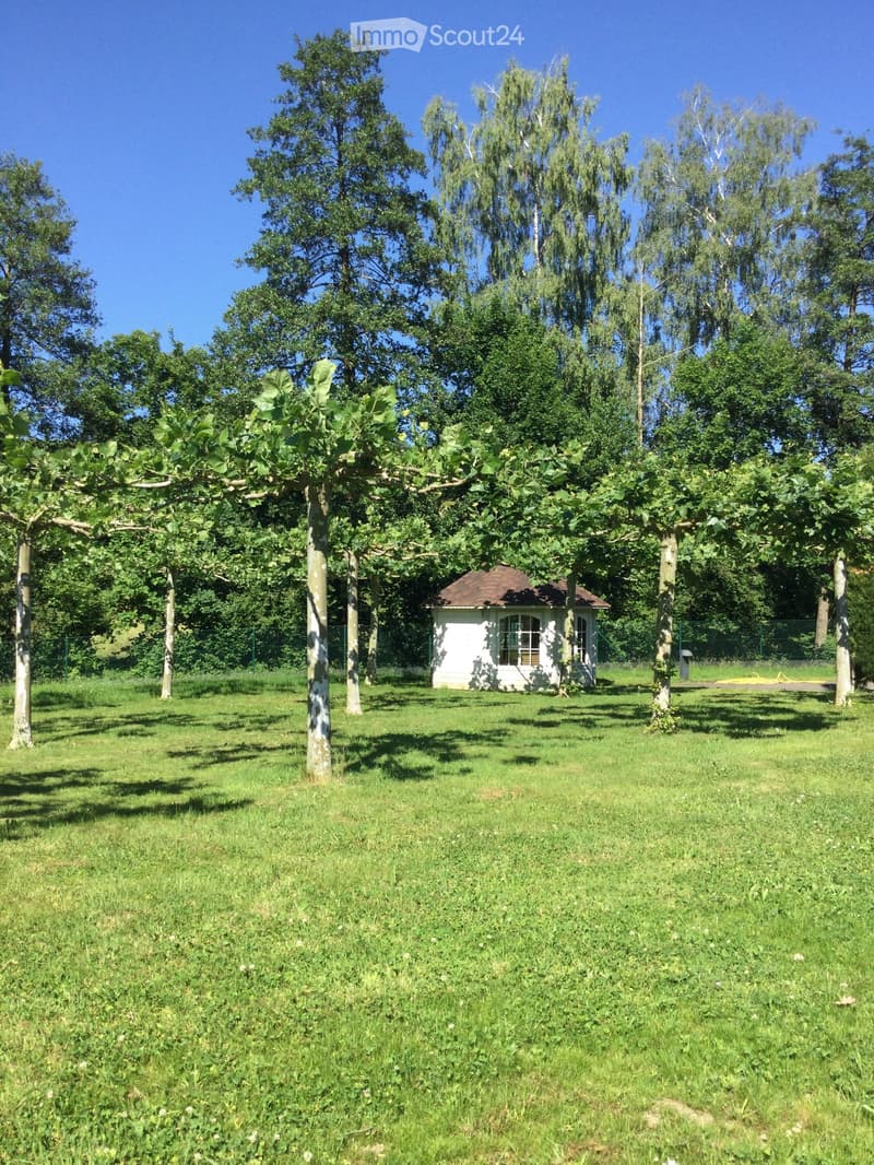 A grassy outdoor area with a small white shed surrounded by tall trees and a fence in the background.