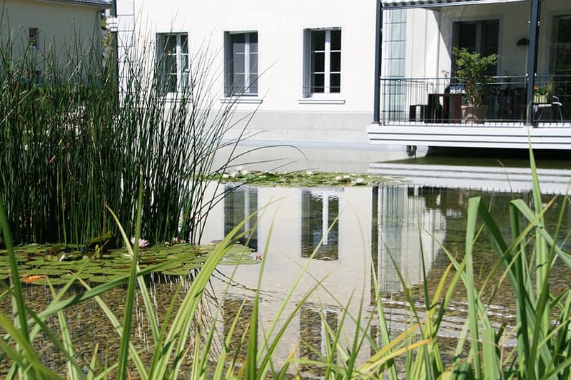 A serene garden area with a pond, lily pads, tall grasses, and a modern white building with a balcony overlooking the water.