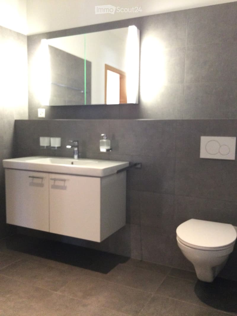 Modern bathroom with a white sink, toilet, and large mirror above the sink. The walls are tiled in dark gray, and the floor is tiled in a light brown color.