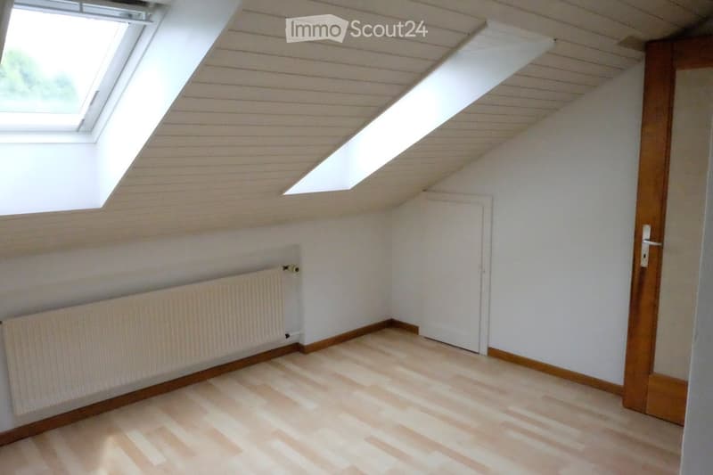 Empty attic room with wooden flooring, white walls, and skylight windows. Features a radiator and a closed wooden door.