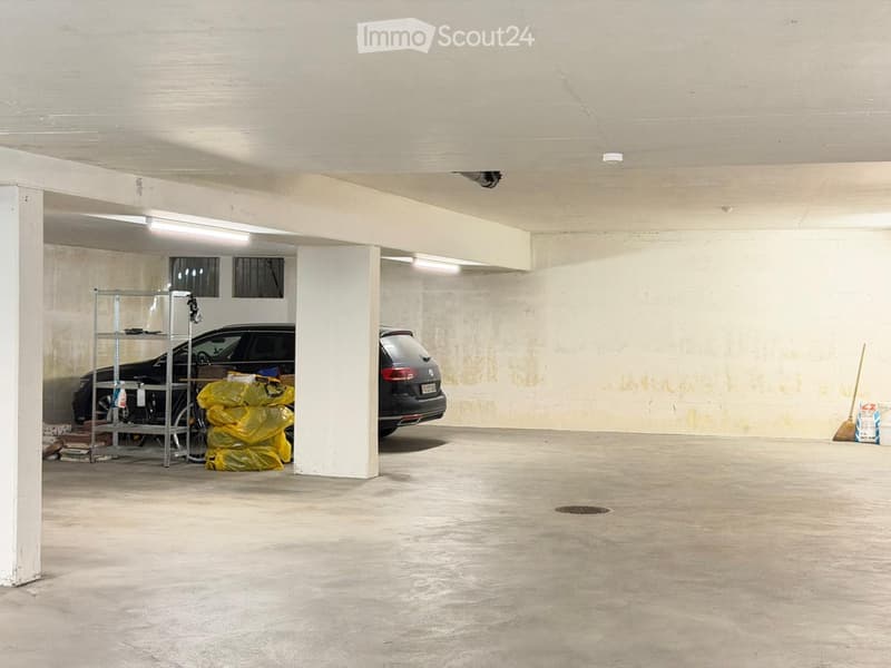 {"type": "Garage", "objects": ["car", "shelves", "bicycle"], "description": "Underground garage with two parked cars, metal shelving unit, bicycle, and some bags.", "visible_features": ["Garage"], "localized_descriptions": {"EN": "Underground garage with