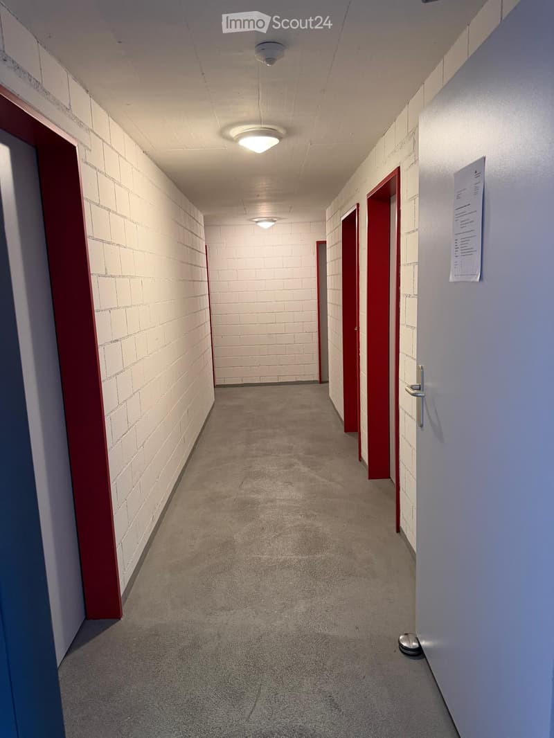 Clean, carpeted hallway with white brick walls, red-framed doors, and ceiling lights.