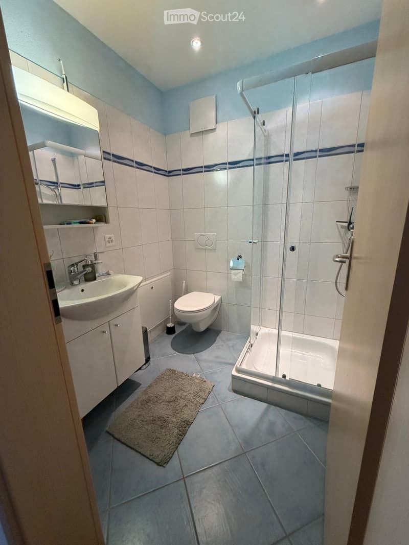 Modern bathroom with white tiles, blue accents, a glass-enclosed shower, a toilet, a sink with a mirror, and a small rug on the floor.