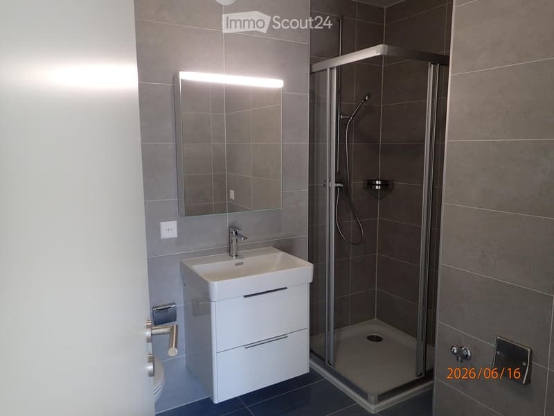 Modern bathroom with a white sink, mirror with built-in lighting, and a glass-enclosed shower stall.