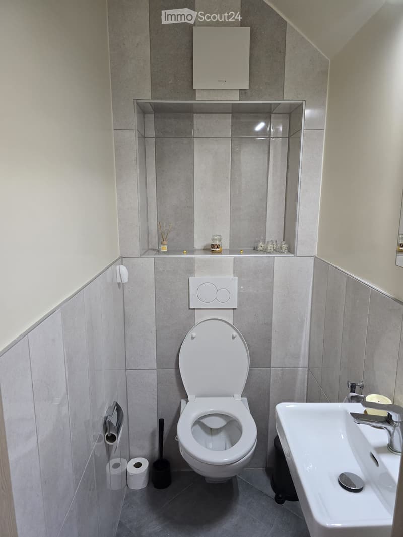 Modern bathroom with a toilet, sink, and glass shelf holding candles and toiletries. Toilet paper and a toilet brush are visible.